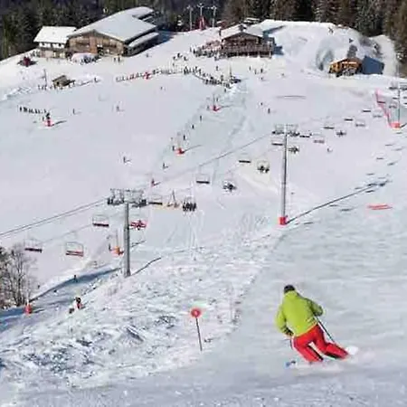 Appartement Duplex Avec Cheminee Et Vue Montagne Le Biot