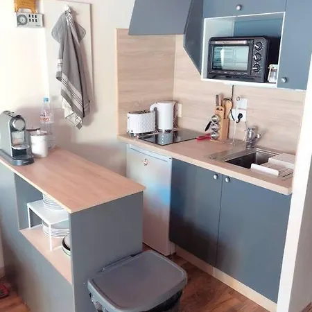 Duplex Avec Cheminee Et Vue Montagne Appartement Le Biot