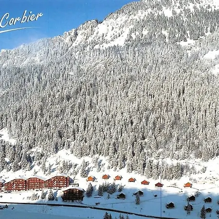 Appartement Duplex Avec Cheminee Et Vue Montagne *