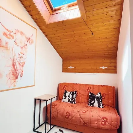 Appartement Duplex Avec Cheminee Et Vue Montagne Le Biot