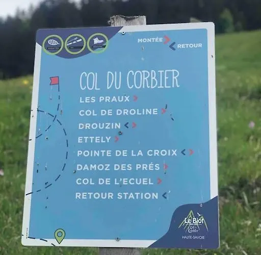 Duplex Avec Cheminee Et Vue Montagne