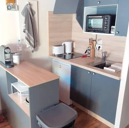 Duplex Avec Cheminee Et Vue Montagne Appartement Le Biot