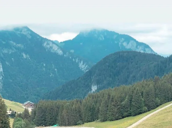 Duplex Avec Cheminee Et Vue Montagne