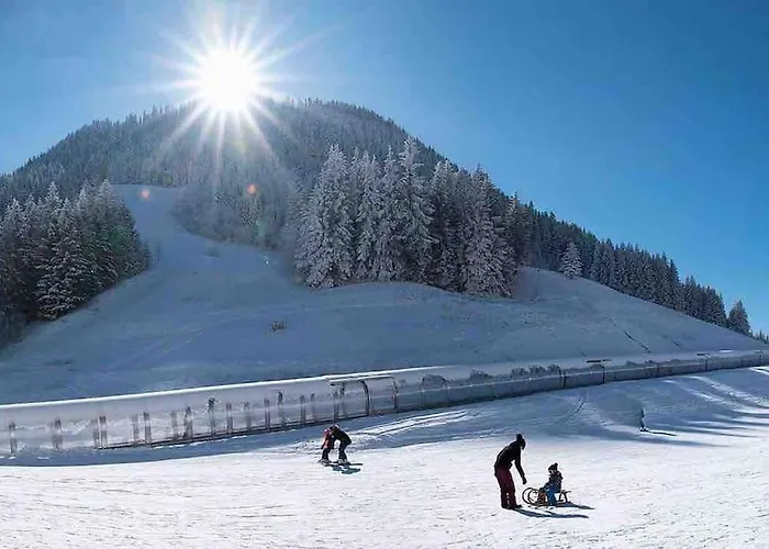 Duplex Avec Cheminee Et Vue Montagne Le Biot