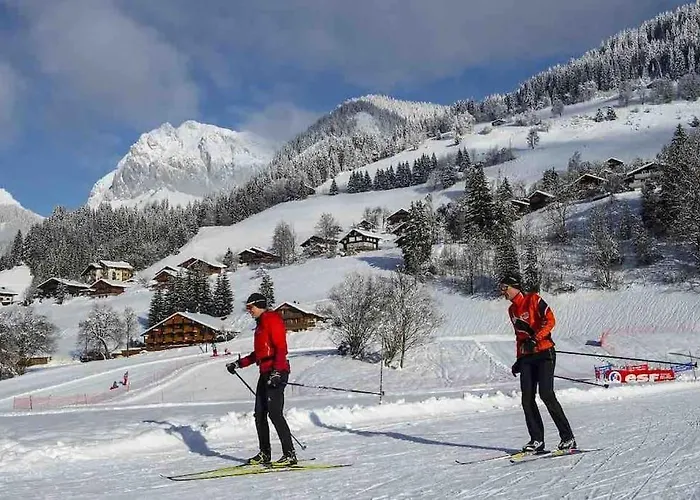 Duplex Avec Cheminee Et Vue Montagne