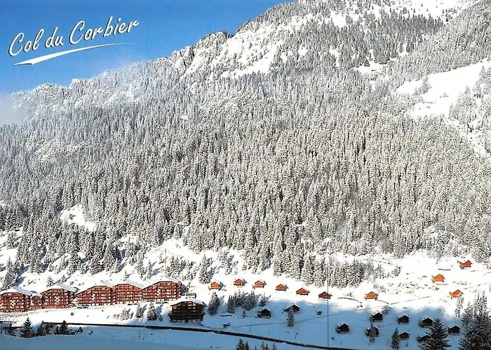 Appartement Duplex Avec Cheminee Et Vue Montagne *