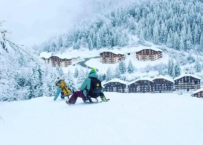 Duplex Avec Cheminee Et Vue Montagne