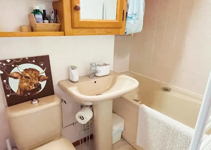 Appartement Duplex Avec Cheminee Et Vue Montagne