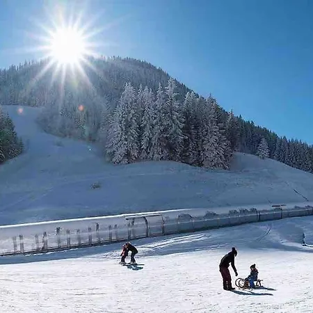 Duplex Avec Cheminee Et Vue Montagne Le Biot