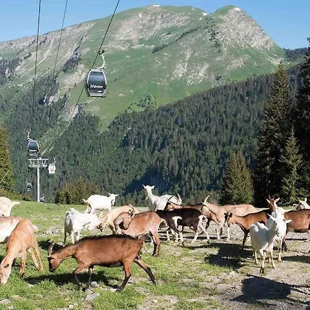 Apartament Duplex Avec Cheminee Et Vue Montagne Le Biot